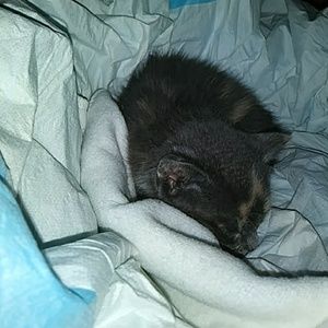 CHRISTMAS SALES .....Open to offers and  bundling.